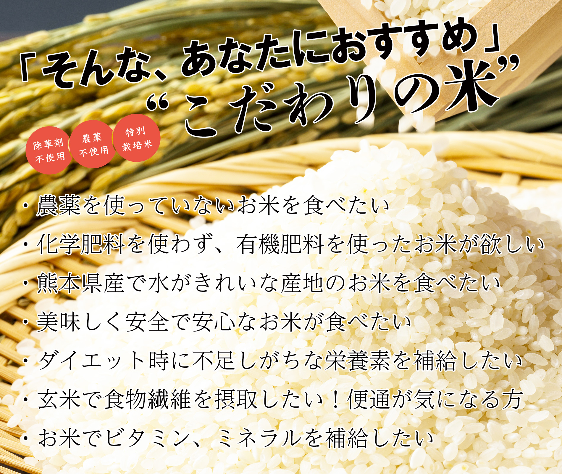 ・化学肥料を使わず、有機肥料を使ったお米が欲しい
・熊本県産で水がきれいな産地のお米を食べたい
・美味しく安全で安心なお米が食べたい
・ダイエット時に不足しがちな栄養素を補給したい
・玄米で食物繊維を摂取したい!便通が気になる方
・お米でビタミン、ミネラルを補給したい
