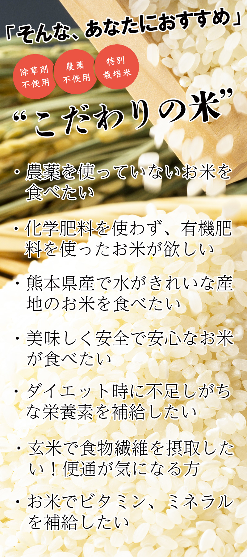 ・化学肥料を使わず、有機肥料を使ったお米が欲しい
・熊本県産で水がきれいな産地のお米を食べたい
・美味しく安全で安心なお米が食べたい
・ダイエット時に不足しがちな栄養素を補給したい
・玄米で食物繊維を摂取したい!便通が気になる方
・お米でビタミン、ミネラルを補給したい
